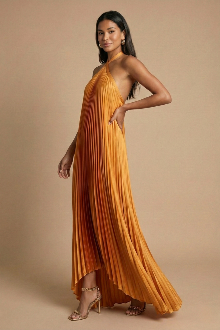 Women's Pleated Chiffon Maxi Dress - Summer Evening