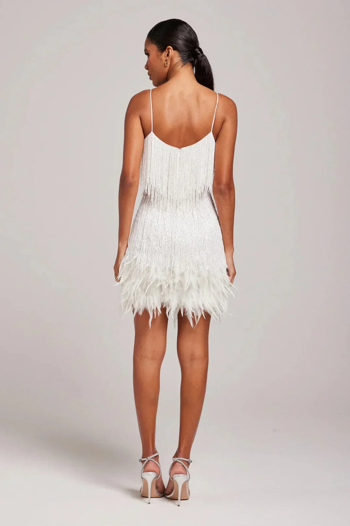 Women's Feather Fringe Mini Dress