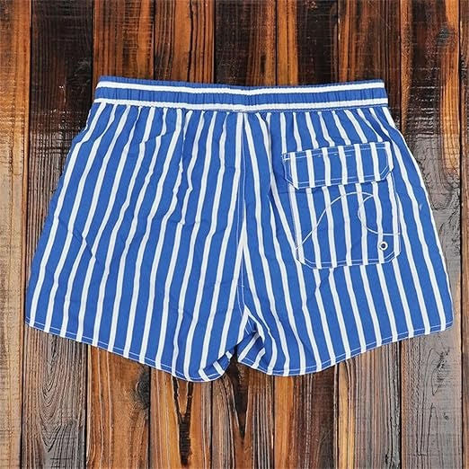 Men's Striped Swim Shorts